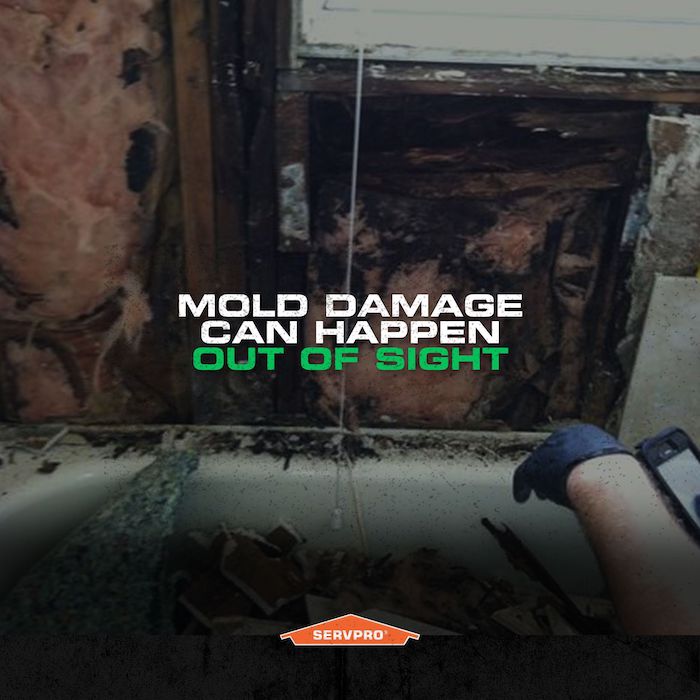 "Mold damage can happen out of sight"