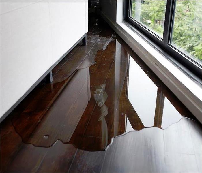 Hardwood floor with water pooling on it.
